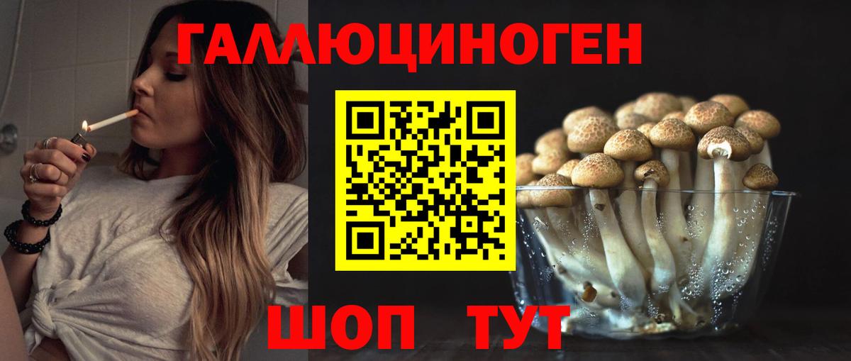 Псилоцибиновые грибы мицелий Ковров